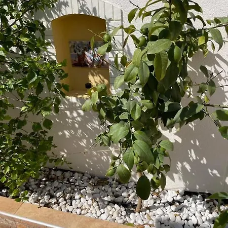 Tatil Evi Casa Del Sol-playa De La Mata-torrevieja