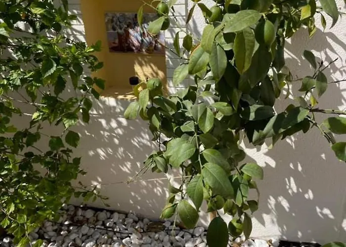 Nyaraló Casa Del Sol-playa De La Mata-torrevieja